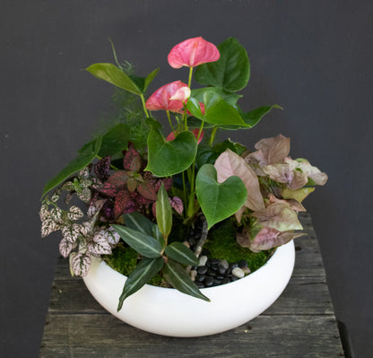 Indoor Dish Garden