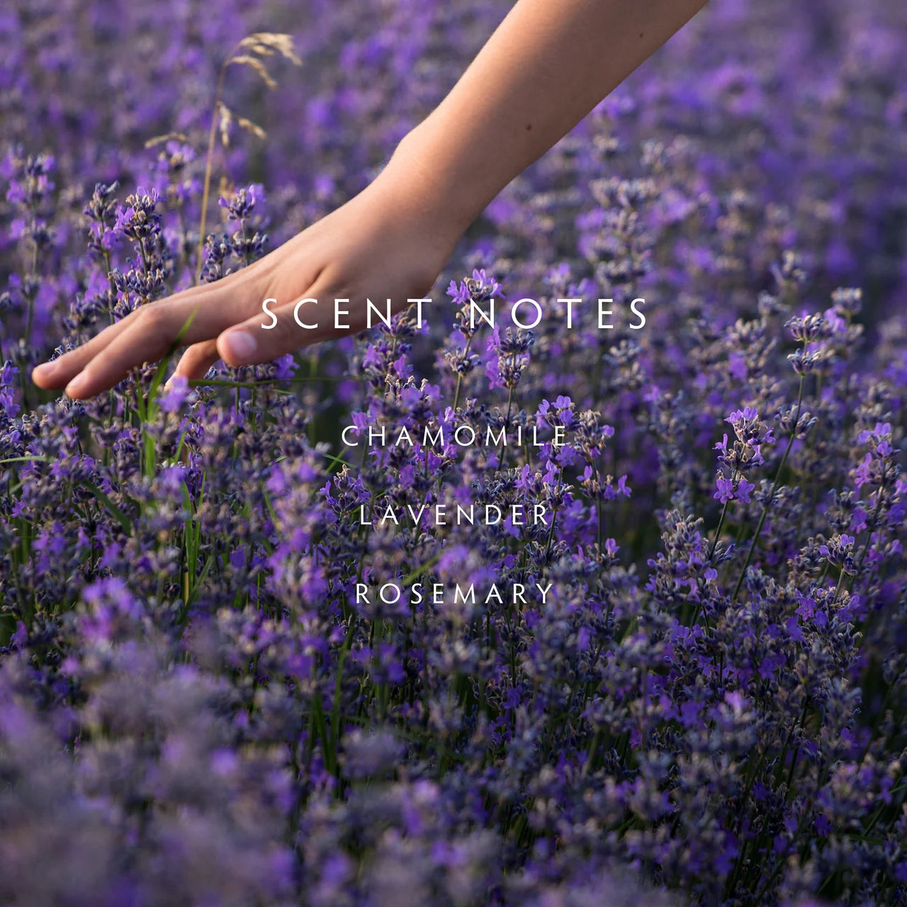 Lavender Rosemary Diffuser