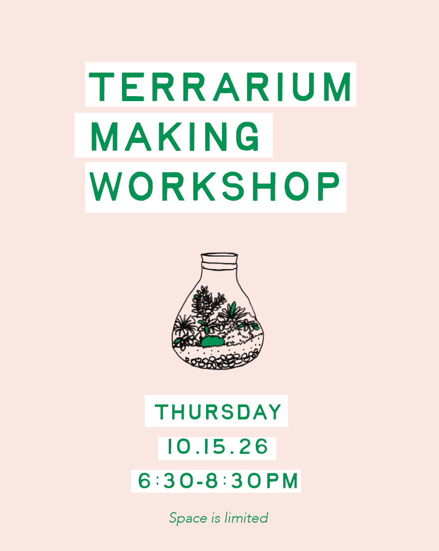 Terrarium Making Workshop