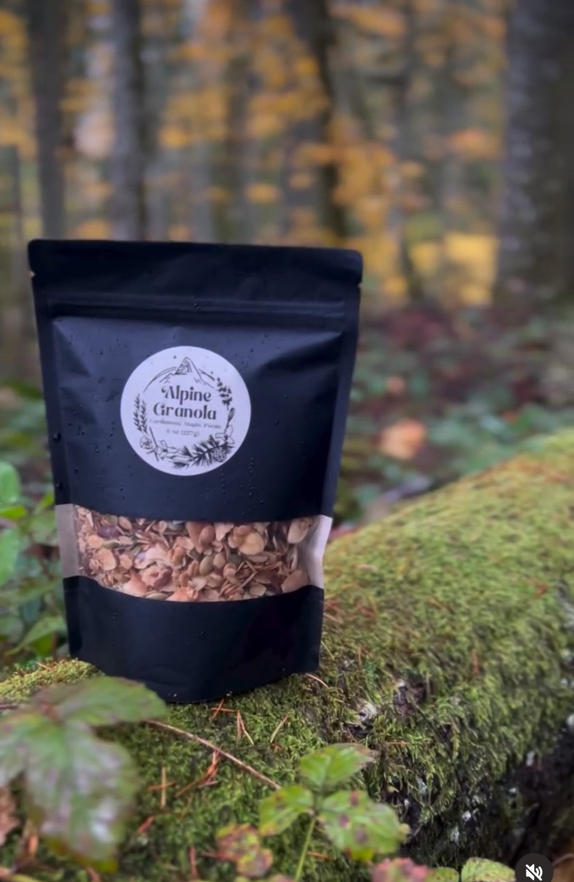 Alpine Granola