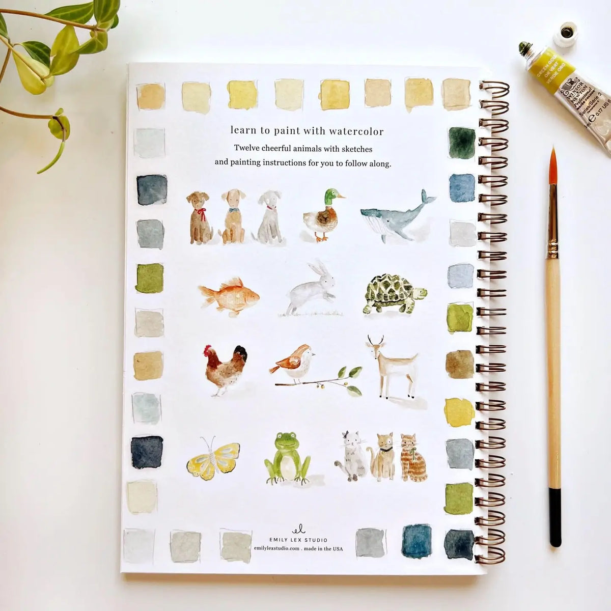 Animal Watercolor Workbook