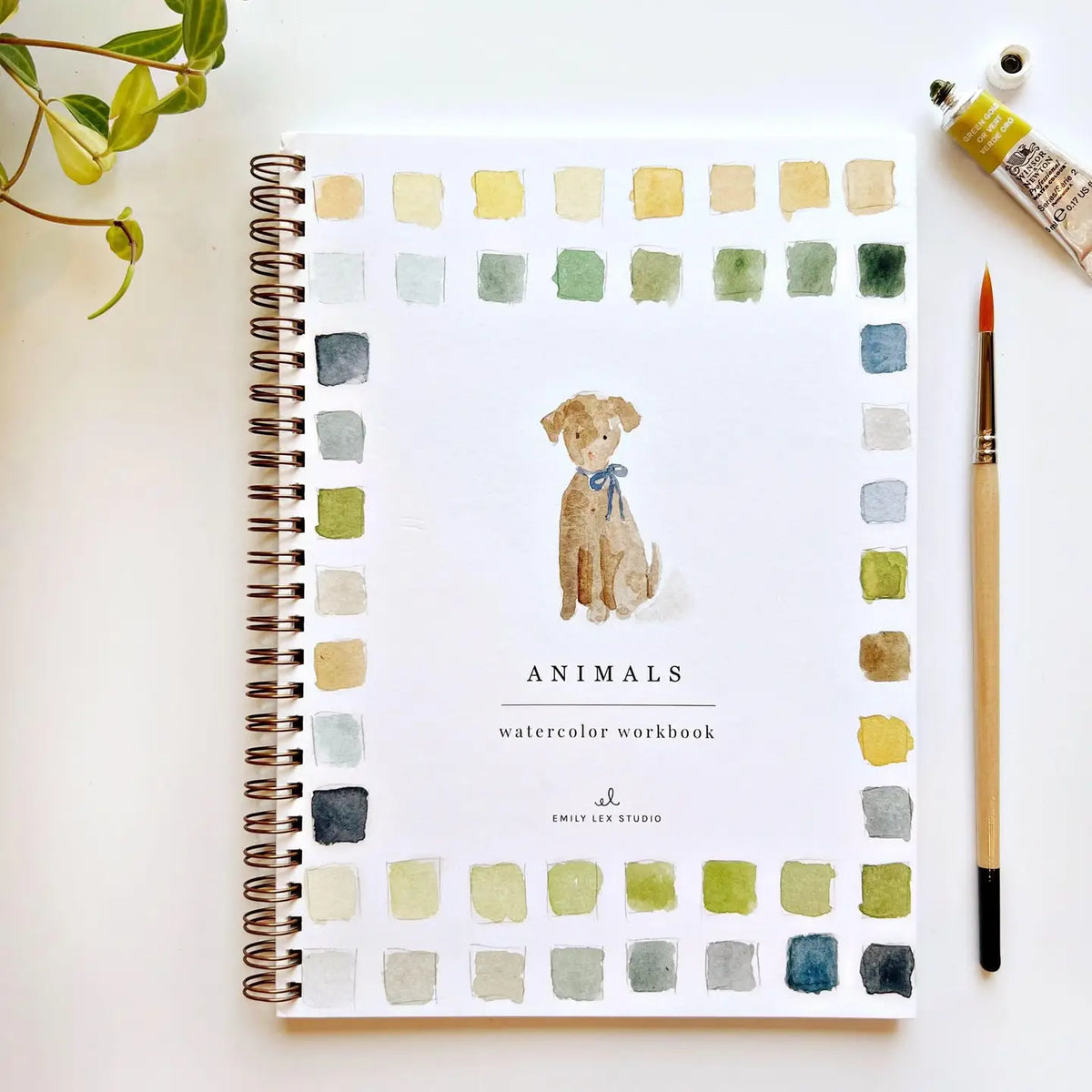 Animal Watercolor Workbook